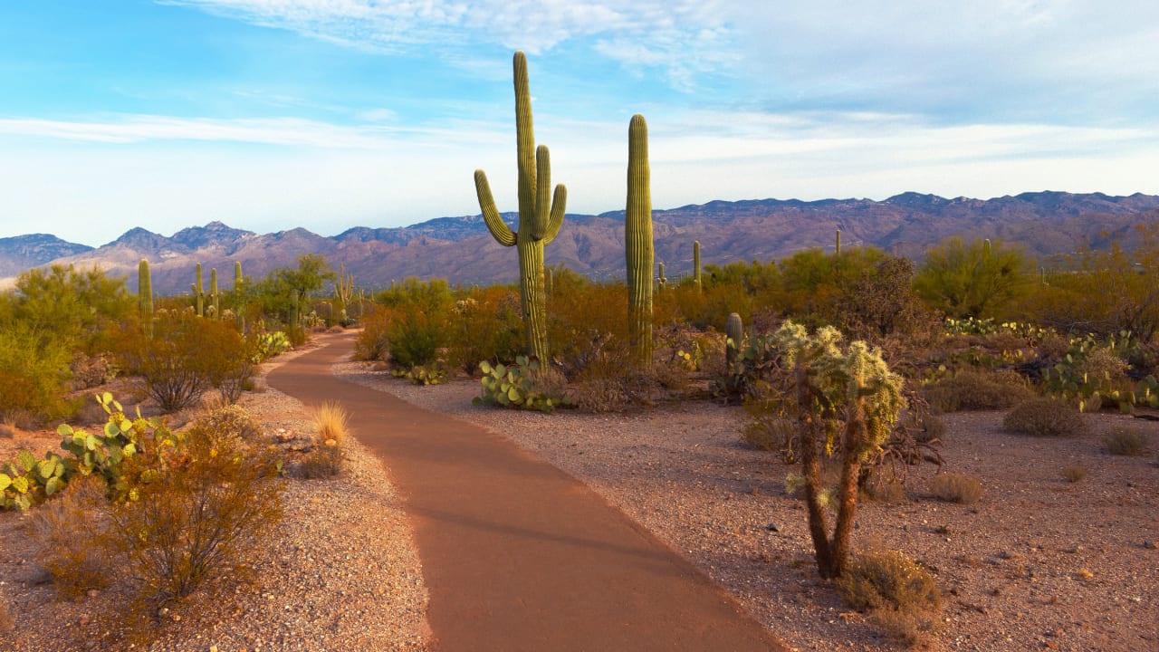 This interactive map shows all the conservation land near you 1 This interactive map shows all the conservation land near you