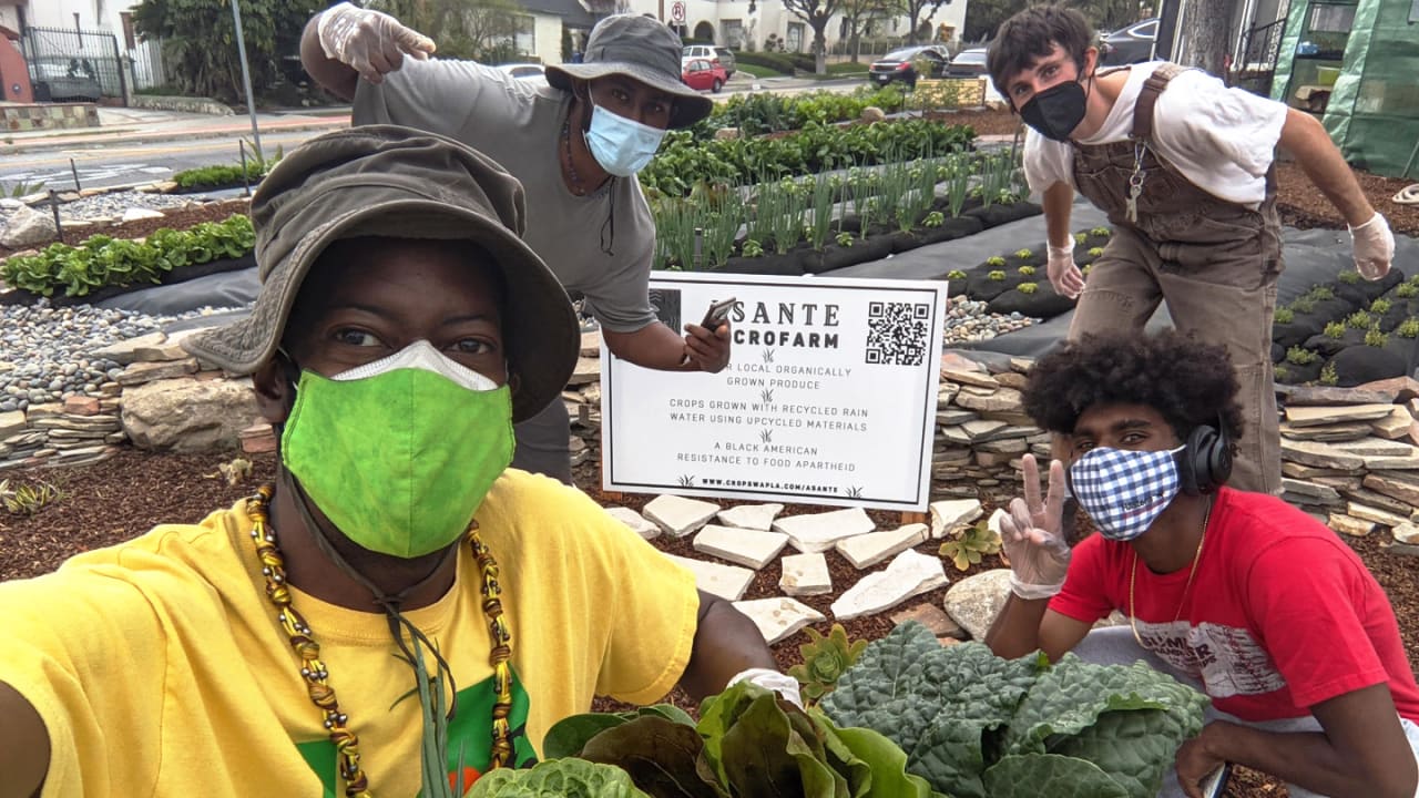 This South L.A. startup will turn your front lawn into a farm 1 This South L.A. startup will turn your front lawn into a farm