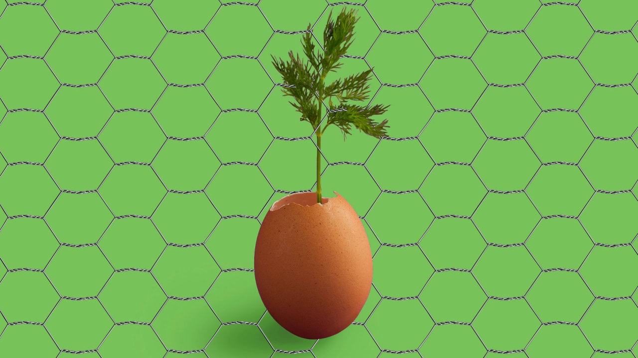 People say they don’t want plant-based meat. But they can be convinced 1 People say they don’t want plant-based meat. But they can be convinced