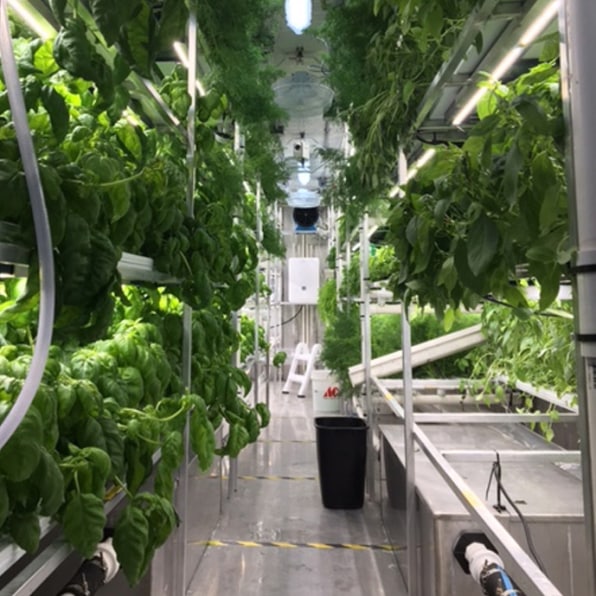 These Cold-Weather Container Farms Let Produce Grow In The Arctic
