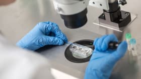 Legal And Ethical Questions Are Growing Around Egg Freezing