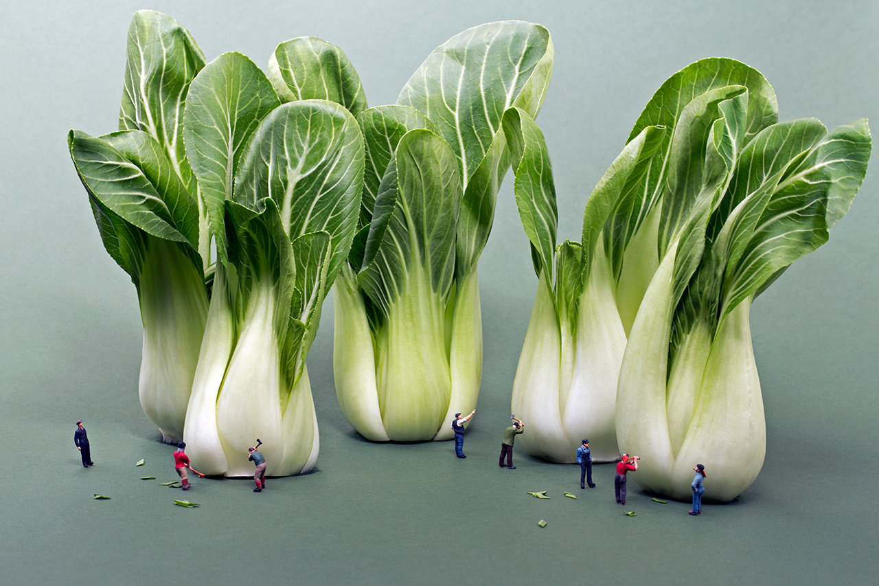 Silicon Valley’s Next Big Goal: Fixing Our Broken Food System