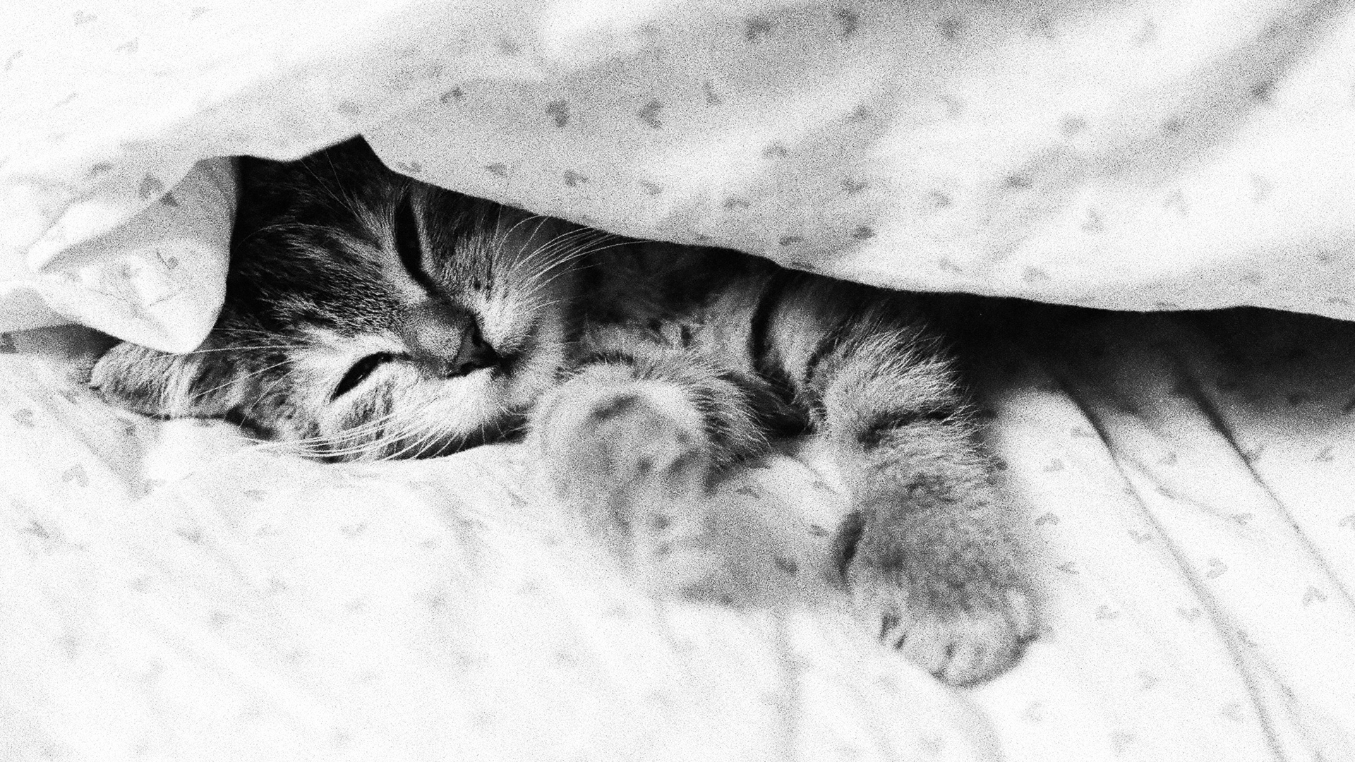 5 Free Apps For A Better Night’s Sleep