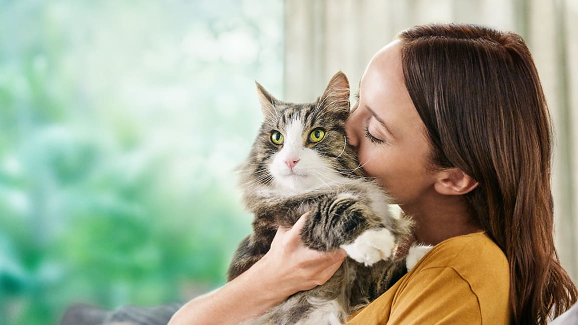 Cat Food for Cat Allergies