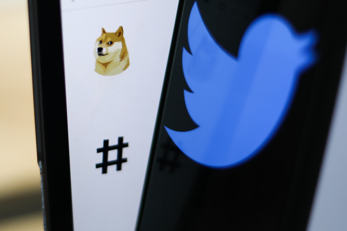 Twitter's logo changed with rebrand, here's what else Musk has in mind