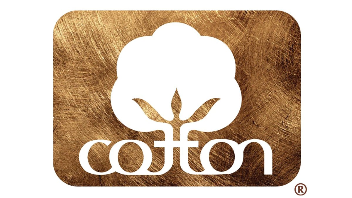 Cotton Vector Art & Graphics | freevector.com