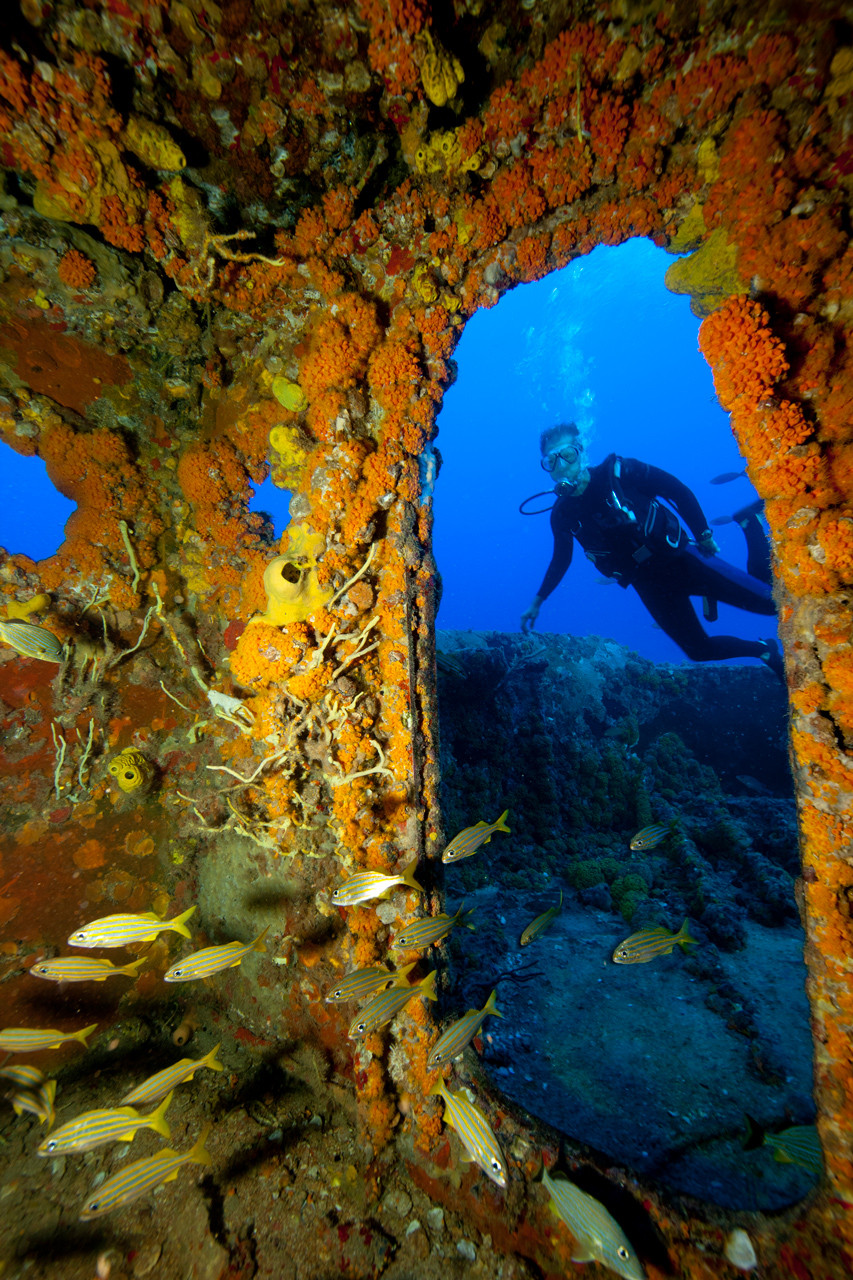 A Deeper Look Into Marine Artificial Reefs - ReefCause