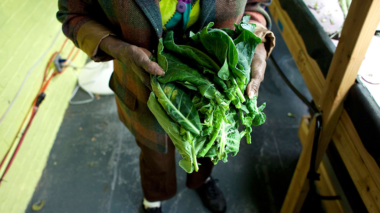 A Hydroponic Farm Grows In This Brooklyn Food Pantry