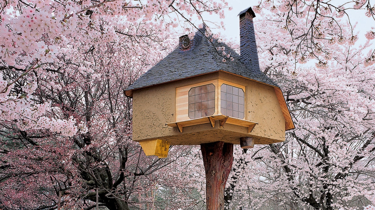 18 Of The World’s Most Amazing Tree Houses : A astonishing photo depicting an stunning view. Its hues are vibrant and blend flawlessly. The layout is fantastic, and the details are also extremely sharp.