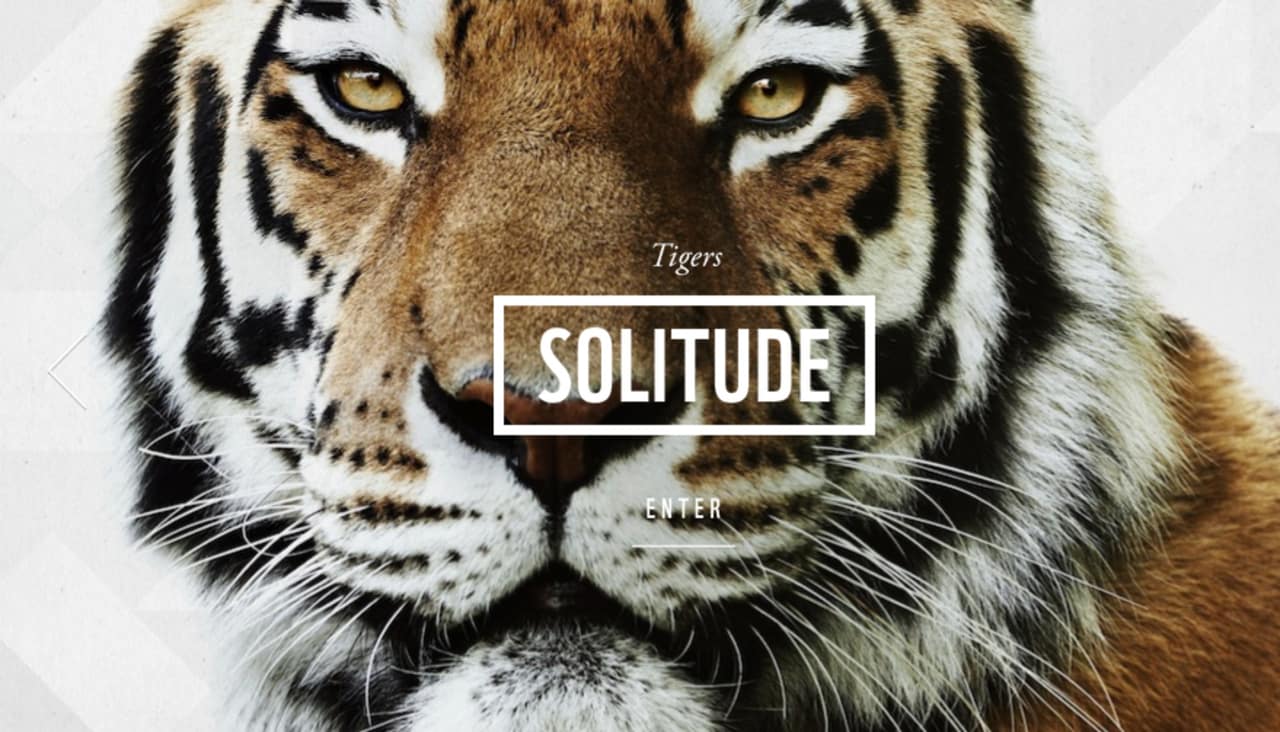 The WWF’s Brilliant New App Lets You Safely Swipe At Tigers, Rhinos, A