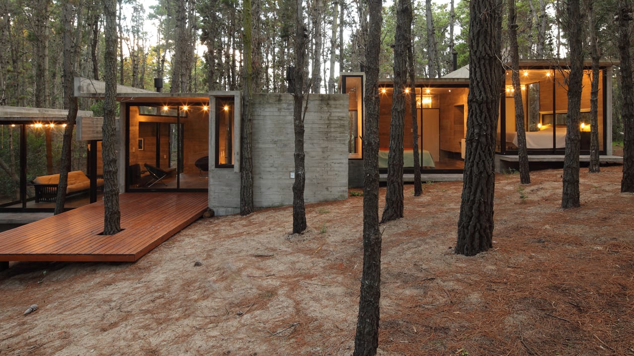 A Forest Hideaway Proves Concrete And Cozy Can Go Together