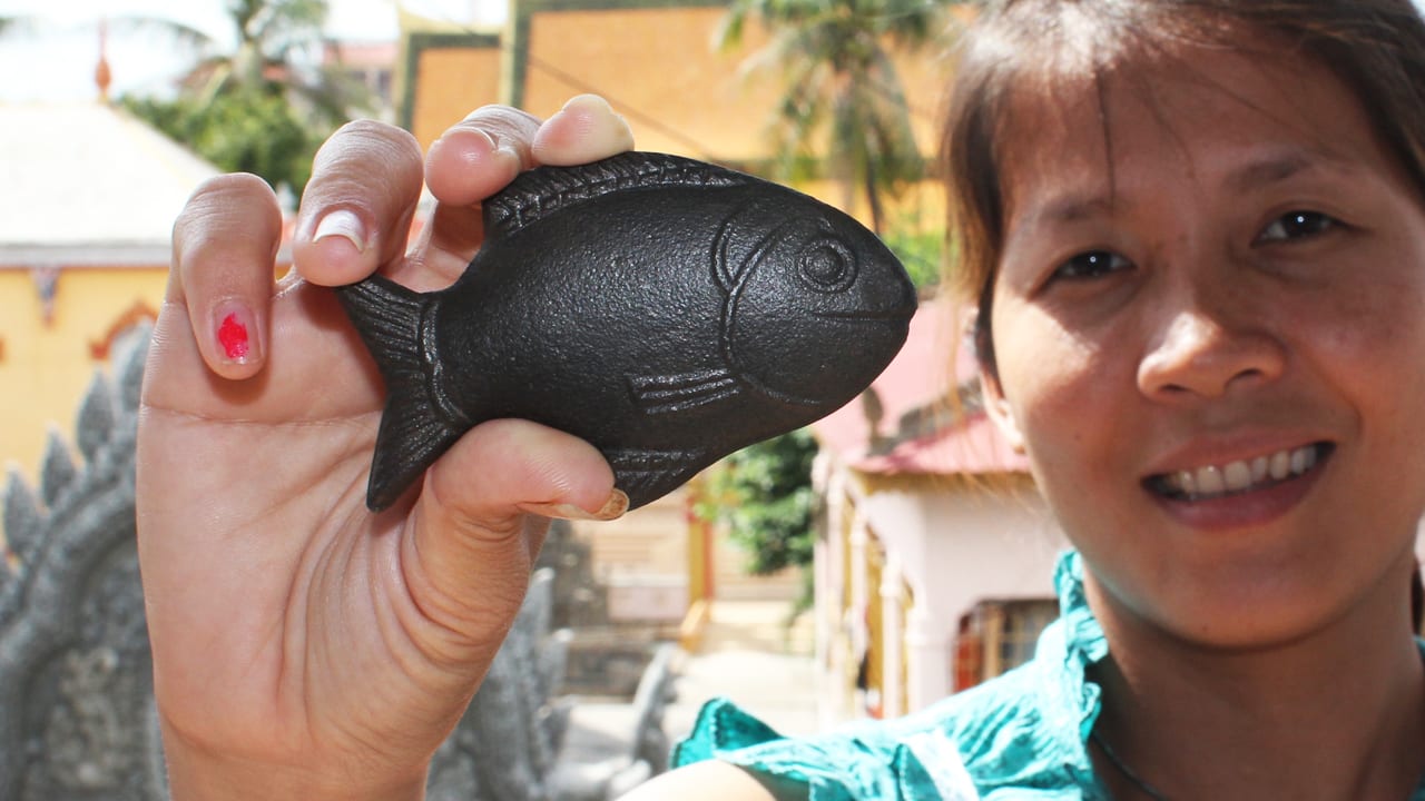 This Iron Fish Offers Relief From Anemia