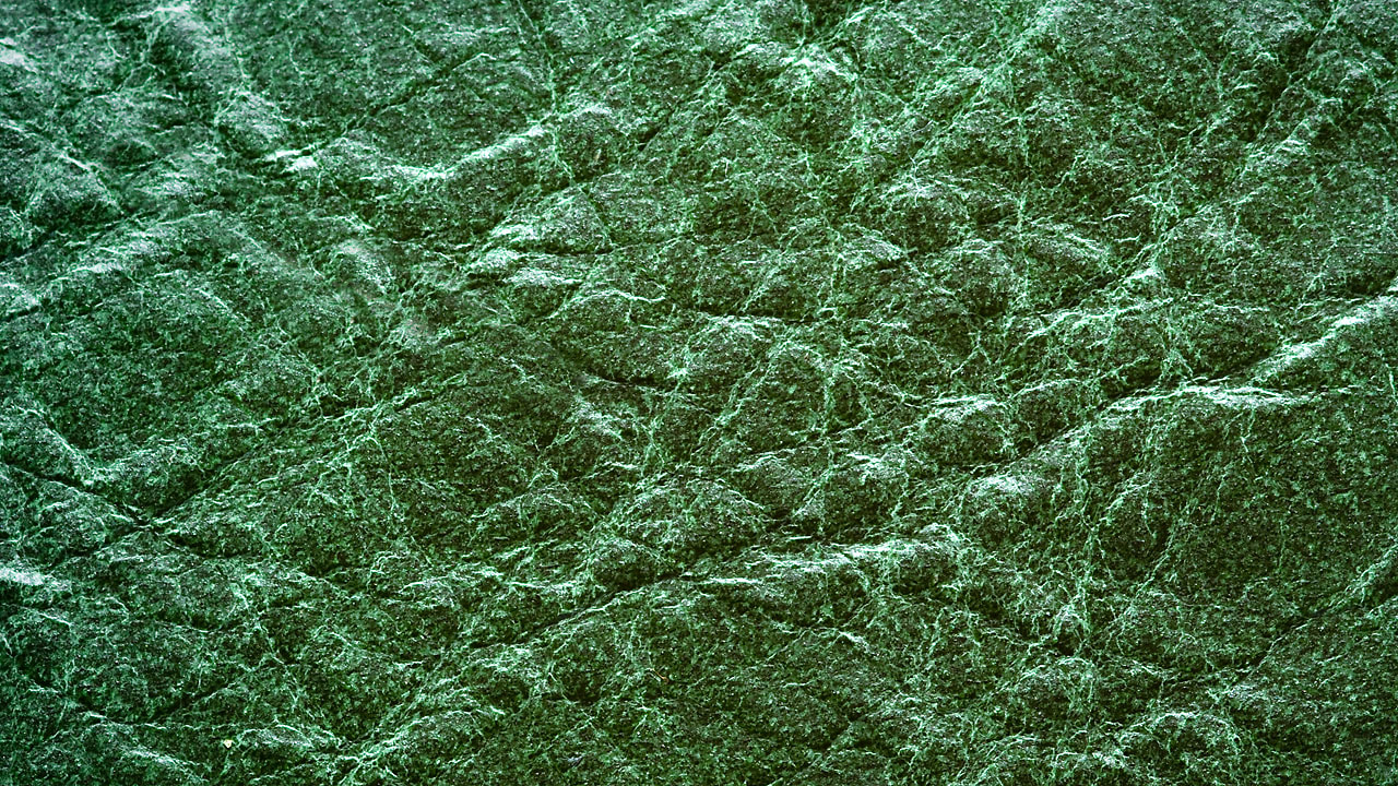 In Five Years, You May Be Wearing A LabGrown Leather Jacket