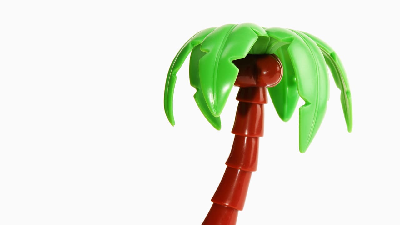 This Plastic Is Made From Trees