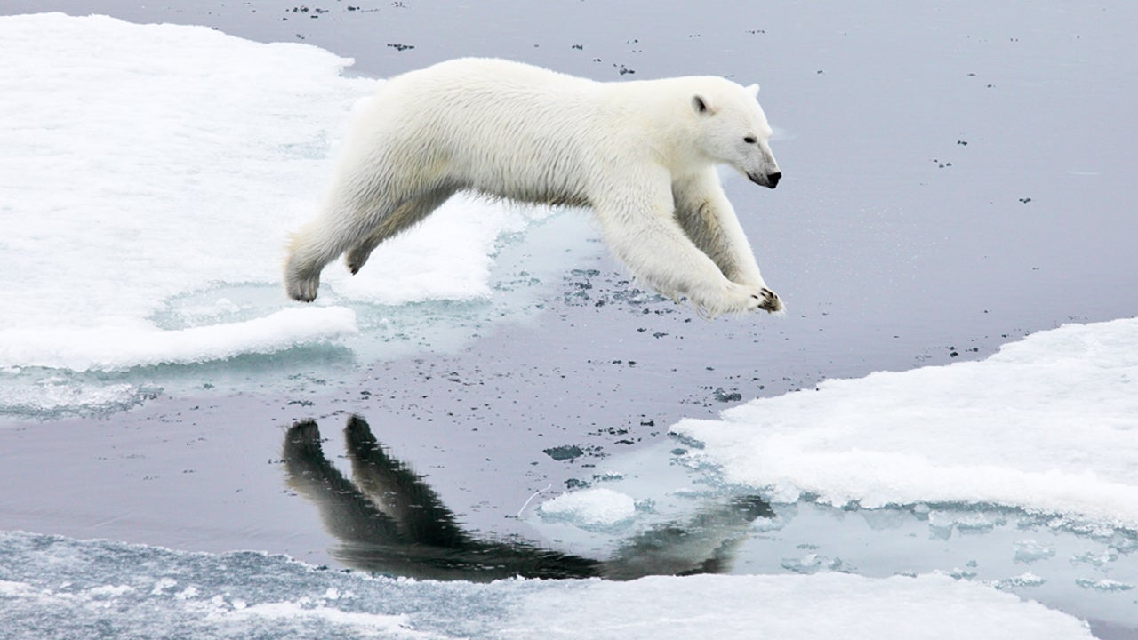 A Sinking Village Trying To Escape Climate Change Is Stuck In A Quagmi