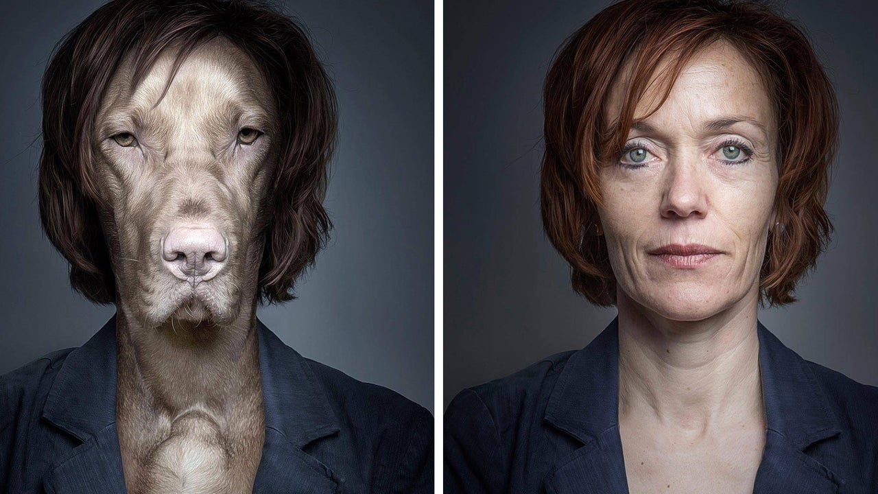 WoofAlikes Dogs Dressed As Their Humans