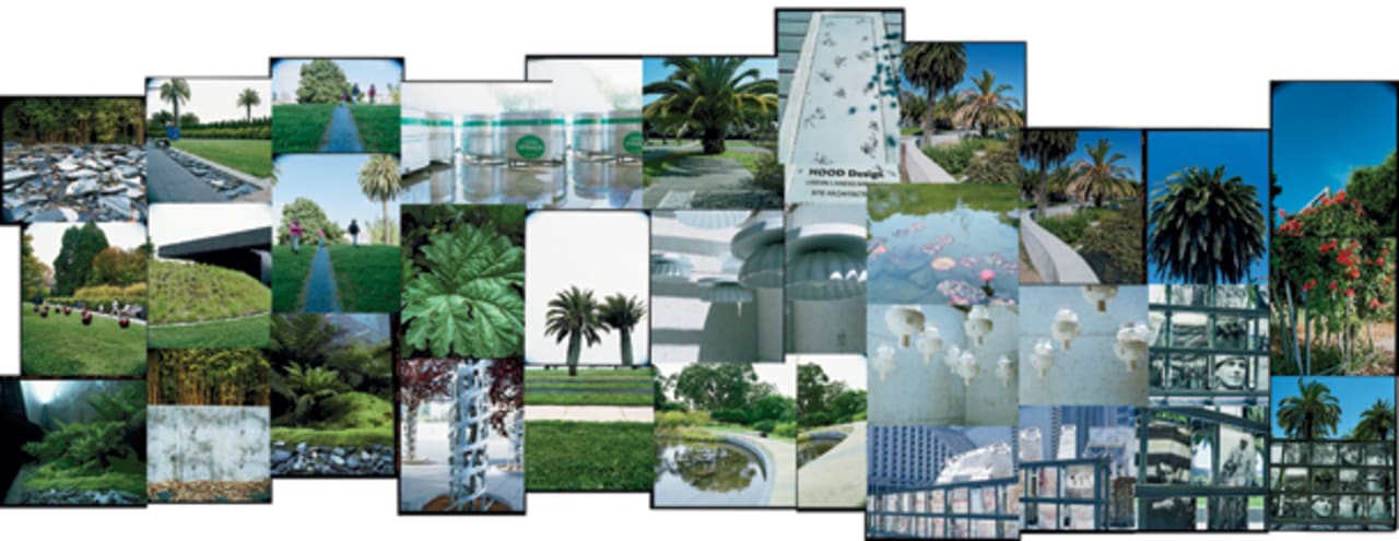 Photo Issue 2010 Walter Hood S Landscape Creations Shot By Alessandr