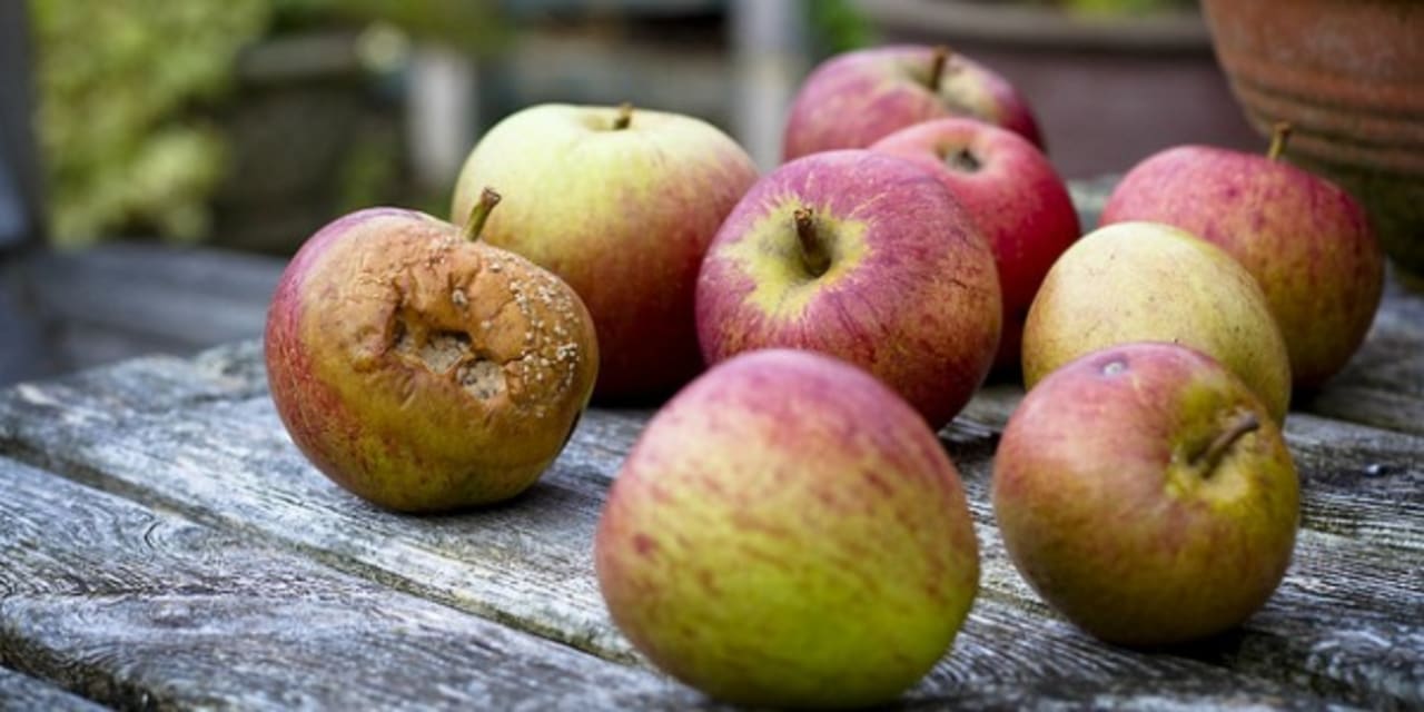 What Good Bosses Do With Bad Apples