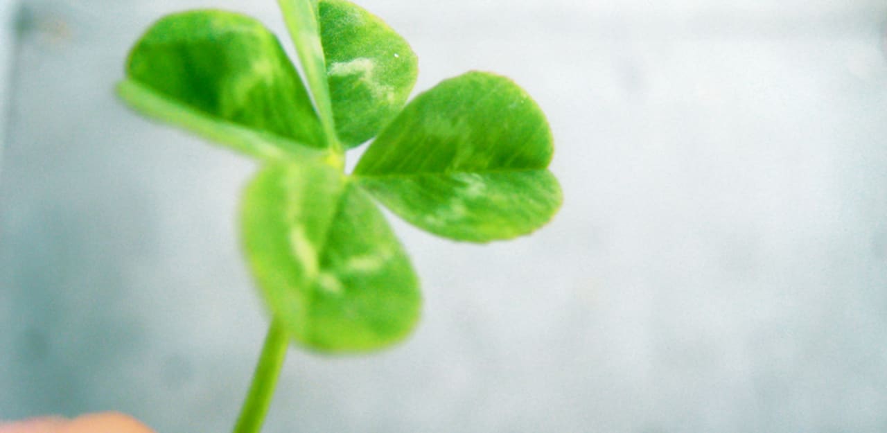 The Facts Of Luck The Facts Of Luck