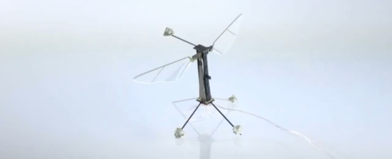 smallest flying robot