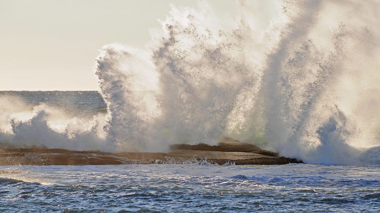 Wave tsunami scene