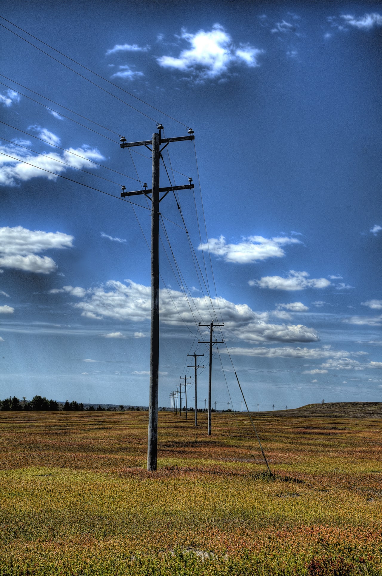 Verizon Landline Plans - d1gg8wy