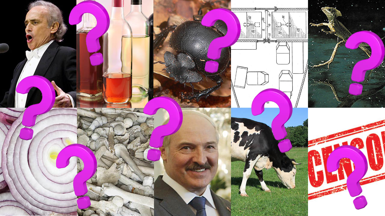 10 Of The Weirdest Questions Scientists Asked (And Answered) This Year