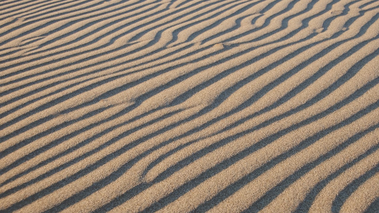 The 3 Future Waves In Design, And How To Ride Them