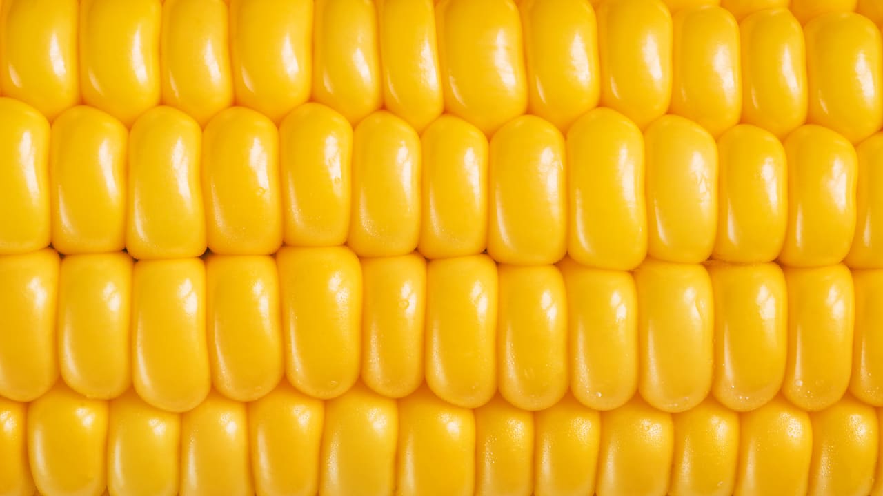 Monsanto Sells Modified Sweet Corn, But You Probably Aren’