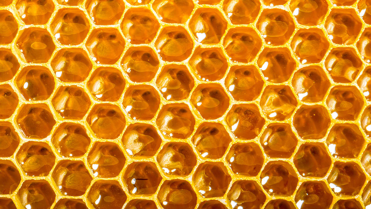 Can A Smart Beehive Network Of Open-Source Hives Help Stop The Bee Apo