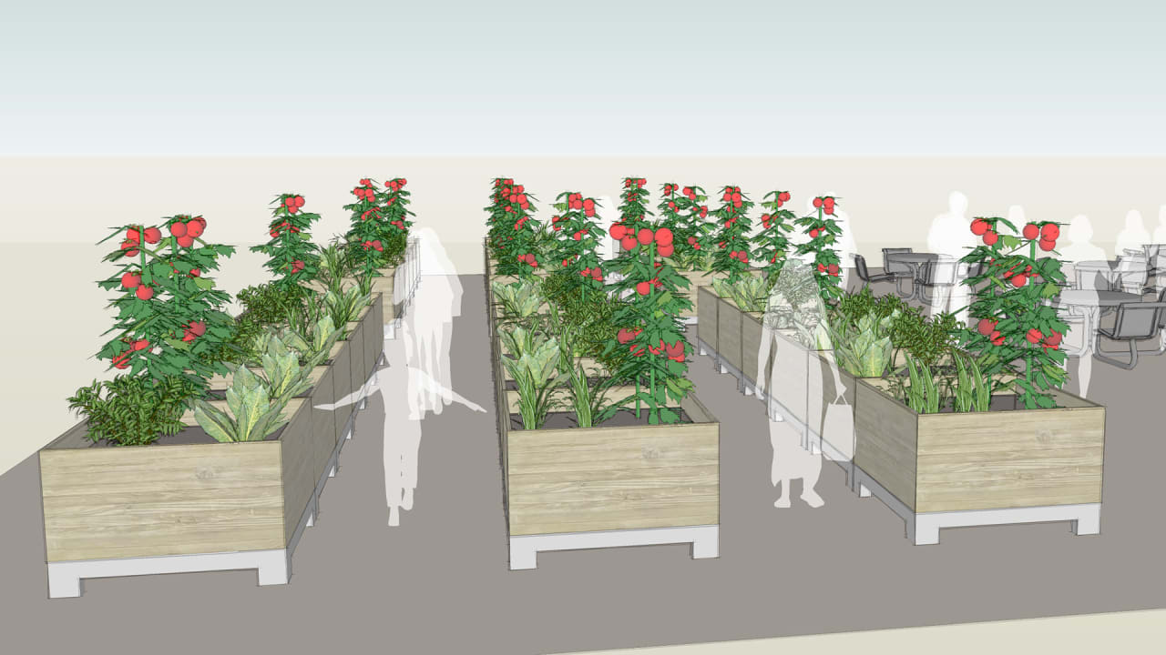 A Roaming Community Garden, To Help Green Vacant Lots