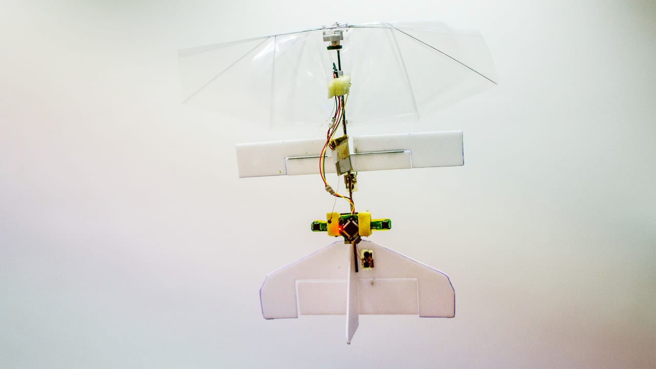 Meet The Tiny Drone That Flaps Its Wings Like a Dragonfly