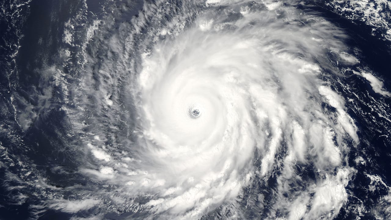 How Offshore Wind Farms Could Protect The Coast From Hurricanes