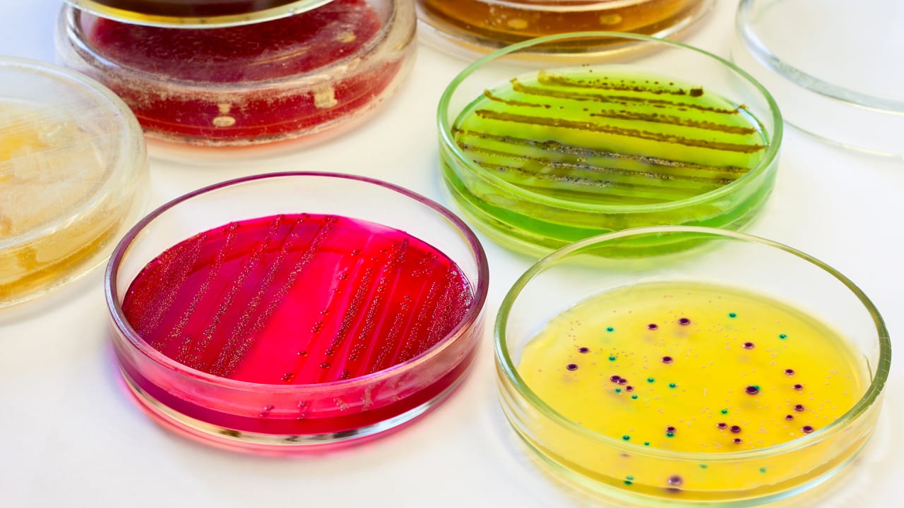 How 3D Printing Can Help To Cure Cancer