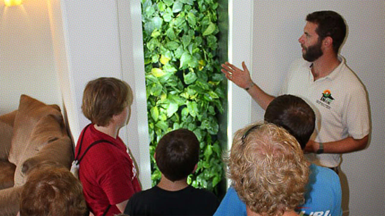 Your Future Healthy Home Will Have Plants Inside Its Walls