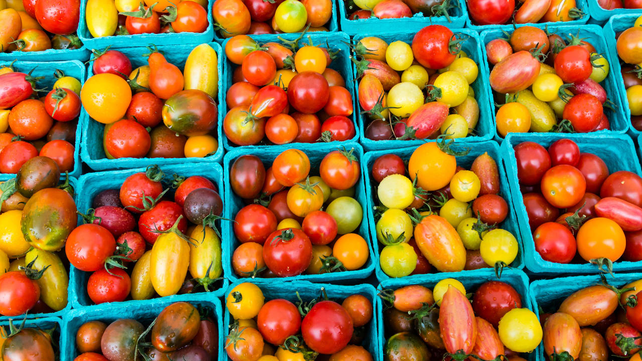 On The 20th Anniversary Of The First GMO, What Do We Know About What W