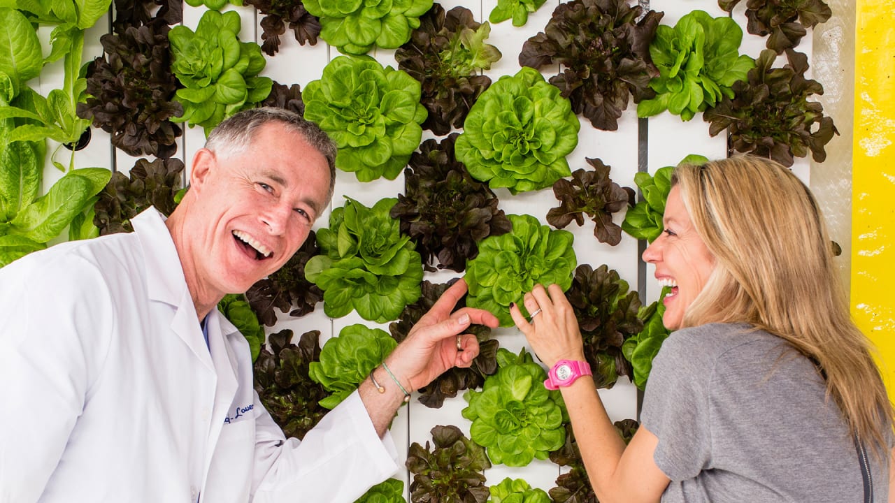 Grow Kale Inside Shipping Containers, With This Hipster 