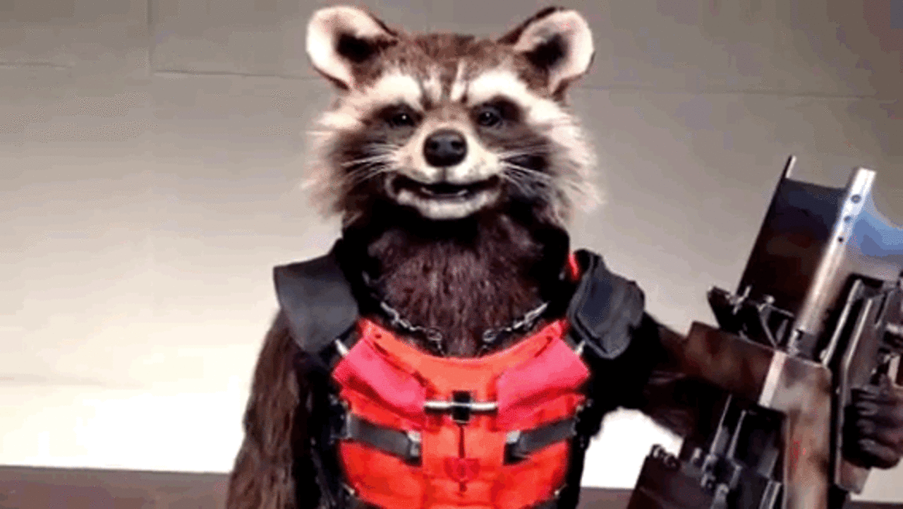 Watch A Feisty, Robot Version Of Rocket Raccoon Do A Press Interview