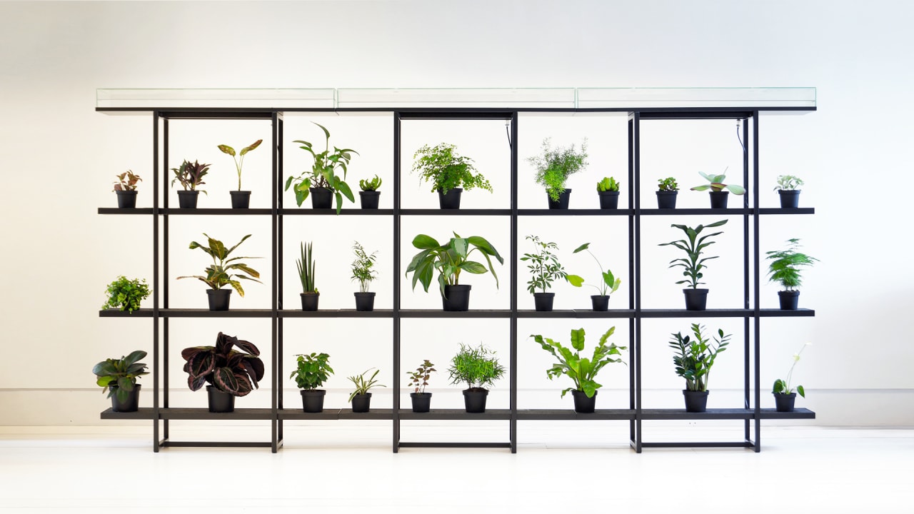 3036413 poster p 4 this shelf automatically waters your plants