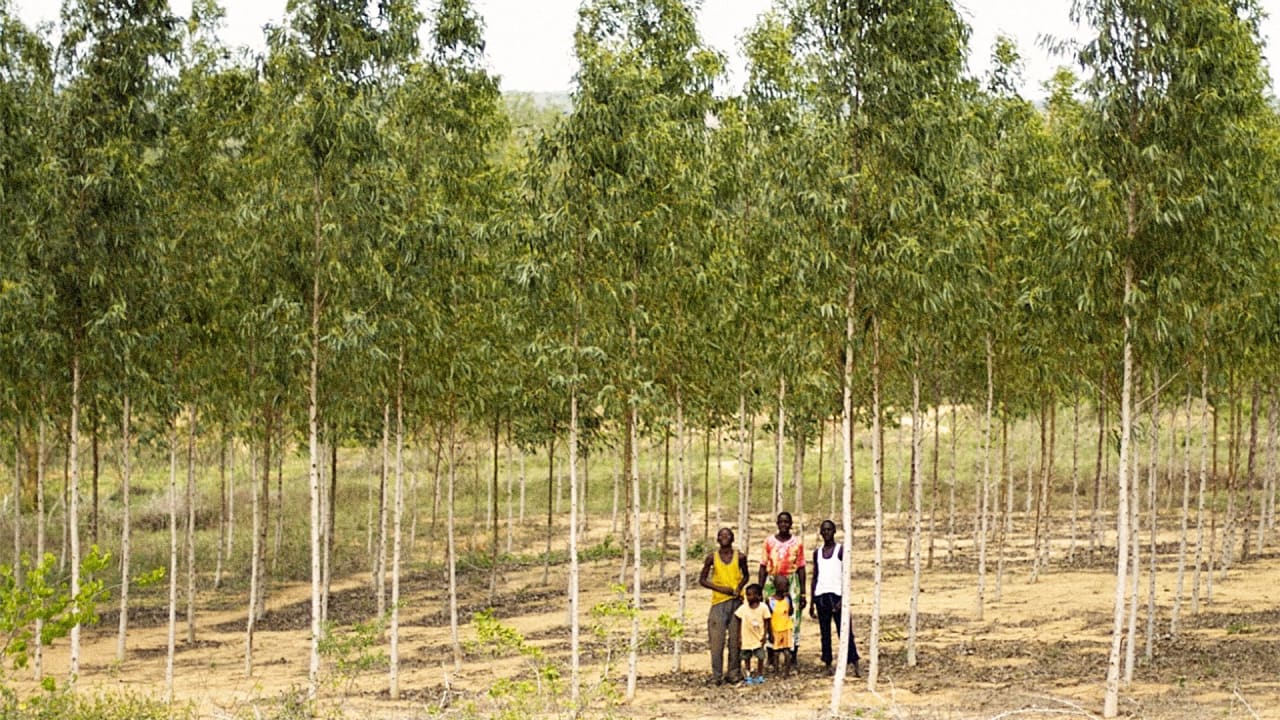 How A 20Something Persuaded Thousands Of Kenyan Farmers To Save Their