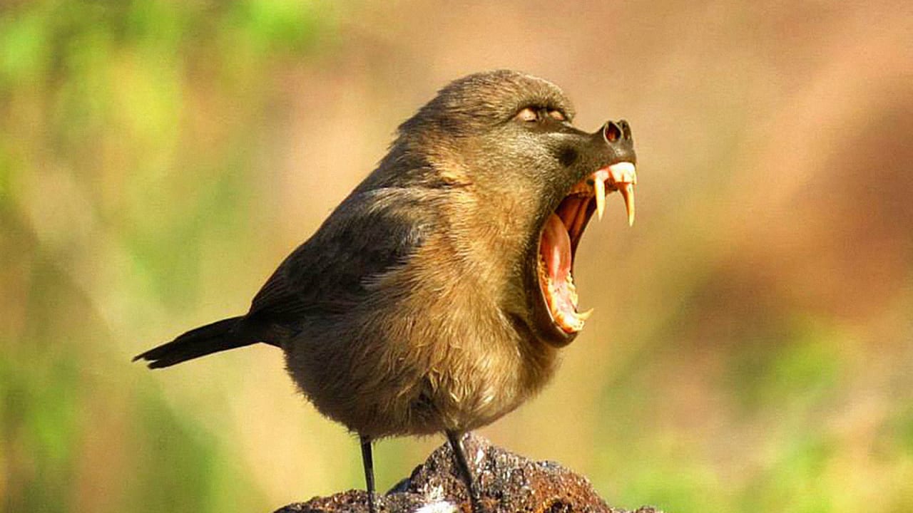 Evolution Meets Photoshop In These 19 Terrifyingly Adorable New Animal Species