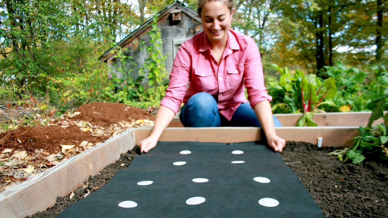 This Startup Will Ship You A Fully Customized Vegetable Garden For Your Backyard