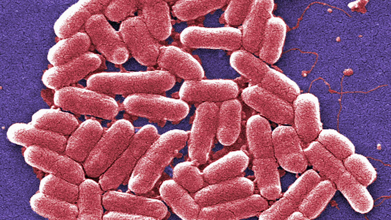 Give It Your Blood, And This Futuristic Device Can Diagnose 1,000 Pathogens In Hours