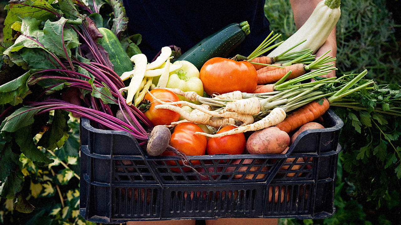 This Clever Device Keeps Food Fresh Without A Refrigerator