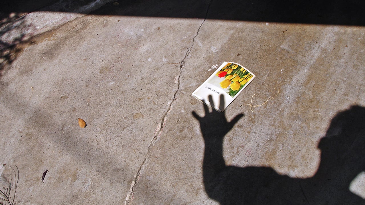 4 Ways To Ignite Your Willpower picture 4 Ways To Ignite Your Willpower pictures