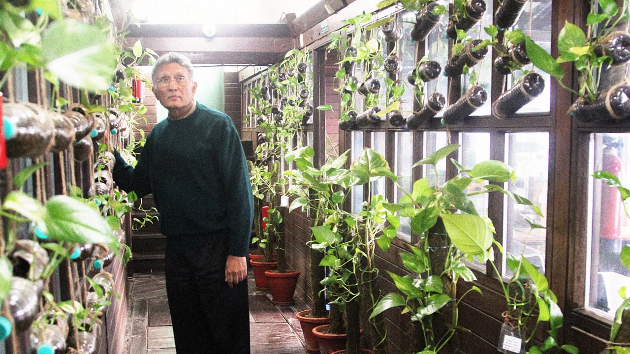 At This New Delhi Office, A Greenhouse Cleans The Smoggy Outdoor Air