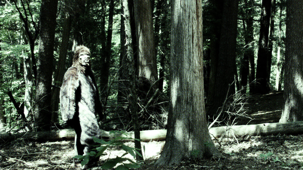 Bigfoot Monster - Yeti Hunter for windows download free