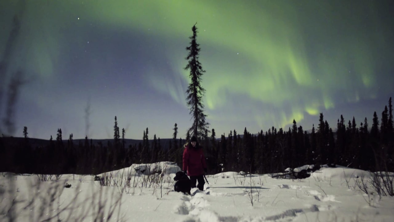 To Complement Your Snowy Experience–Watch The Northern Lights In Stunn