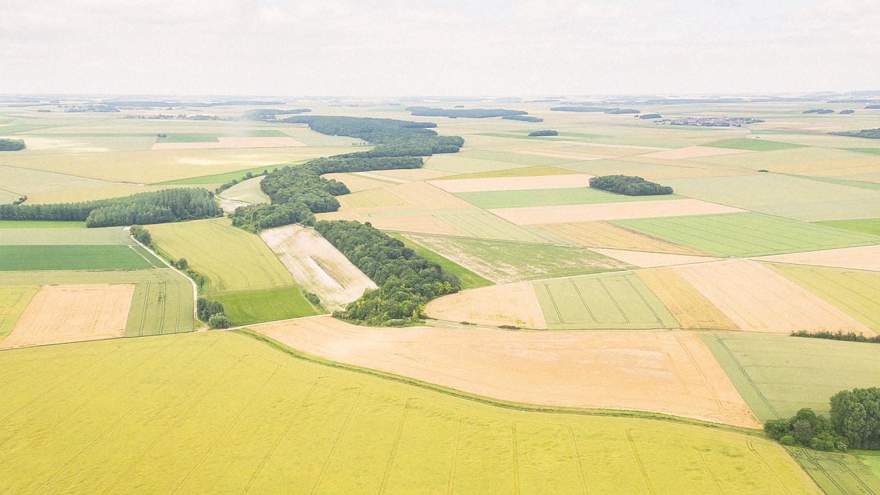 the-most-detailed-map-of-the-world-s-cropland-shows-where-there-s-room