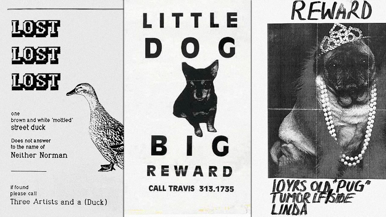missing pet poster
